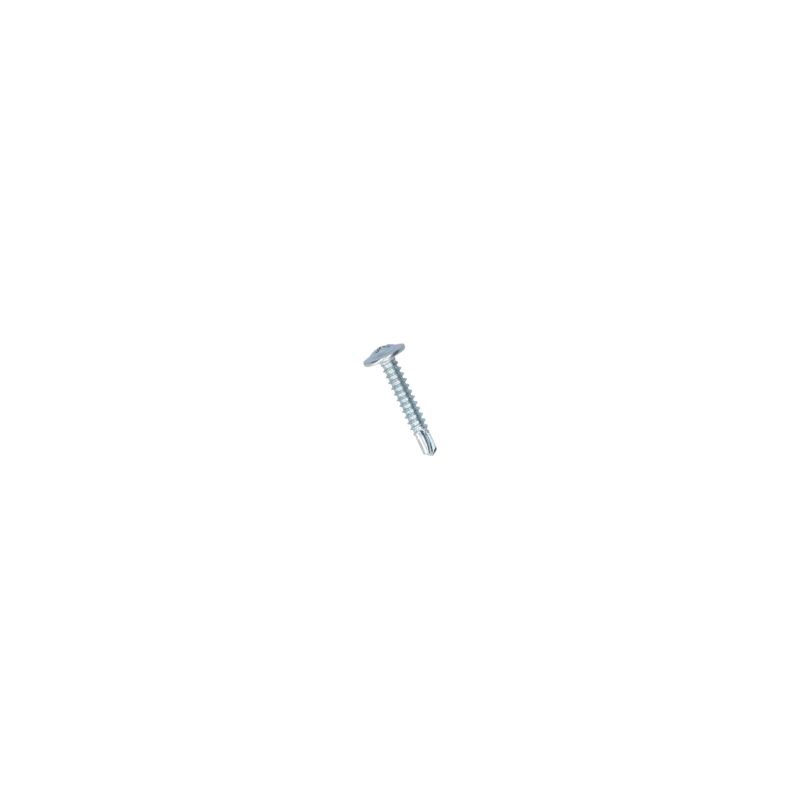 Carpoint Carpoint Schroef Zelftappend Ø4mm 25mm 100 stuks 0810009