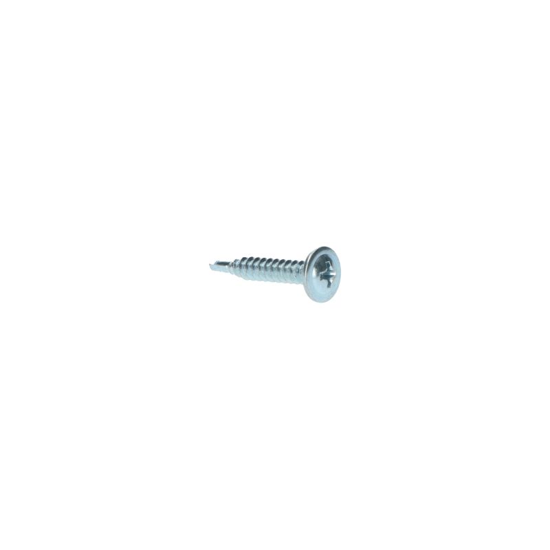 Carpoint Carpoint Schroef Zelftappend Ø4mm 25mm 100 stuks 0810009