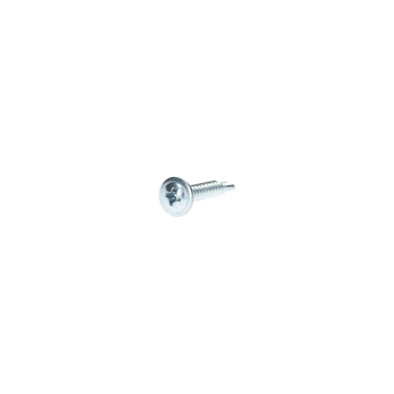 Carpoint Carpoint Schroef Zelftappend Ø4mm 25mm 100 stuks 0810009