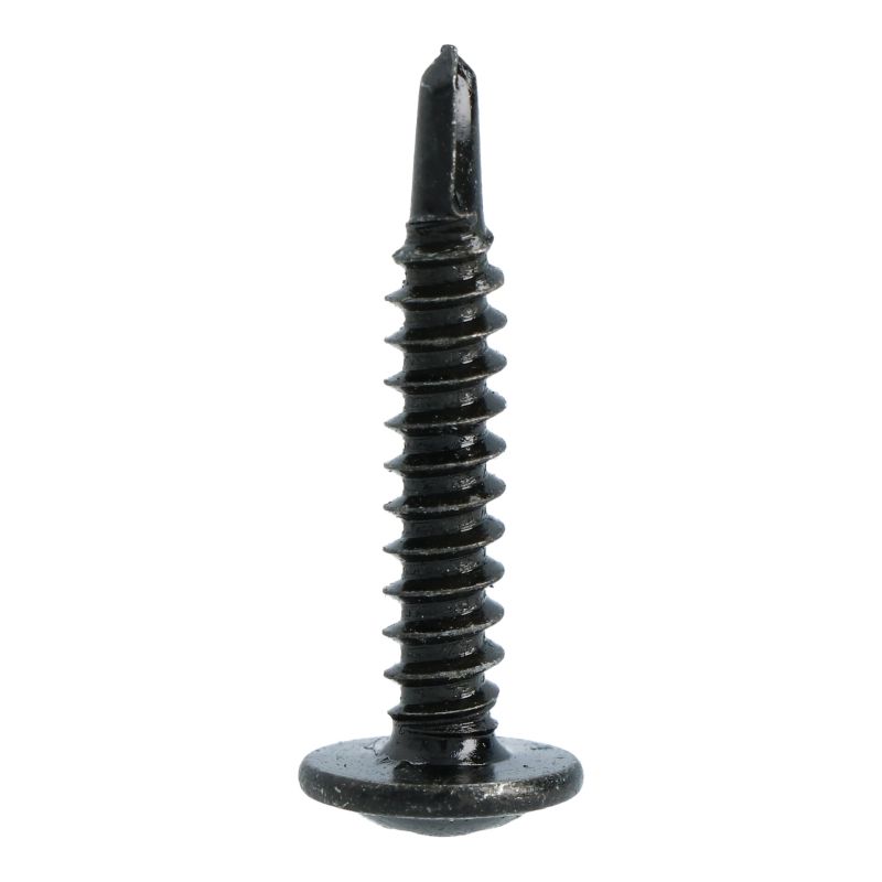 Carpoint Carpoint Schroef Zelftappend Zwart Ø4mm 25mm 100 stuks 0810025