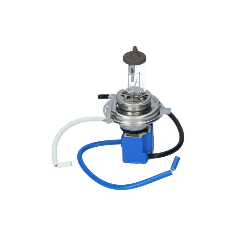 Carpoint Vervangingstekker H4 lamp keramiek 0810093