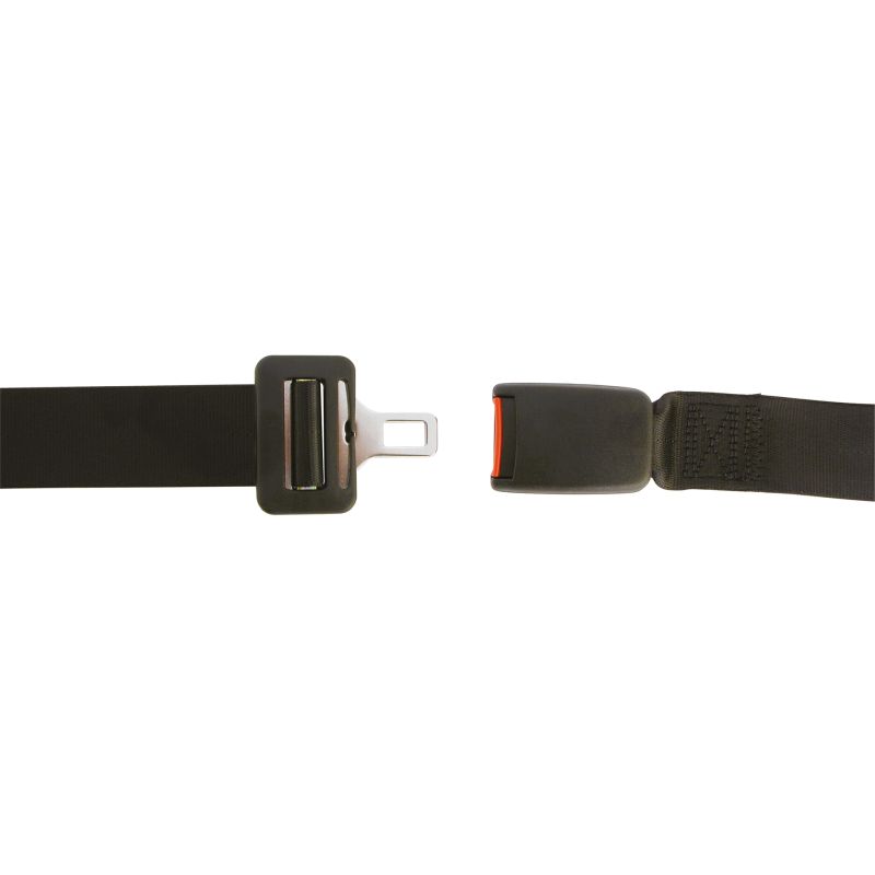 Carpoint Carpoint verstelbare 2-punts Gordel voertuigcategorie M & N 1434601