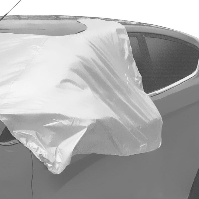 Carpoint Carpoint Anti-ijsdek Magnetisch 150x285cm 1710175