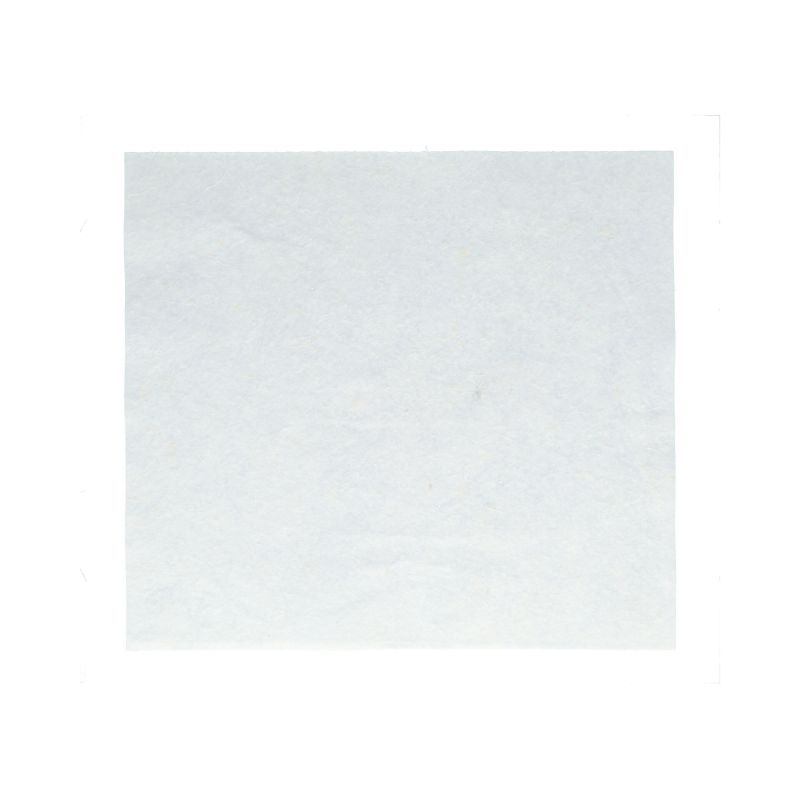 Protecton Protecton Poetsdoeken 34x38cm 10 Stuks 1750311