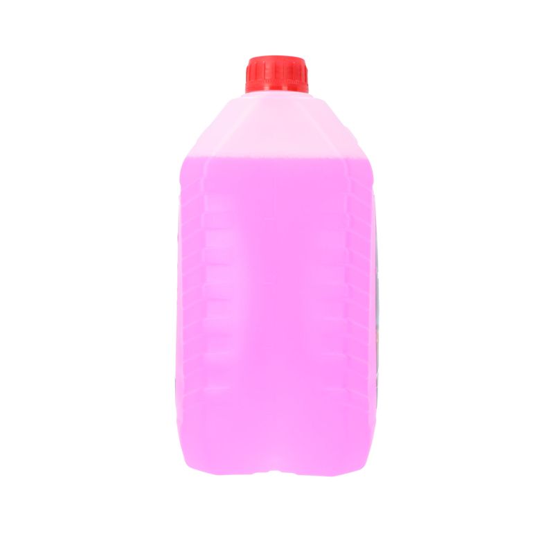 Protecton Protecton Ruitenvloeistof Zomer 5 Liter 1890921