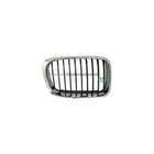 Grille Bodermann 1636355