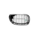 Grille Bodermann 1638351