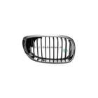 Grille Bodermann 1638354