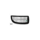 Grille Bodermann 1639365