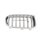 Grille Bodermann 1642353