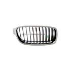 Grille Bodermann 1645361