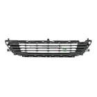 Grille Bodermann 2019360