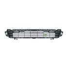 Grille Bodermann 2035360