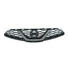 Grille Bodermann 2469350