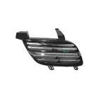 Grille Bodermann 2493351