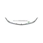 Grille Bodermann 6421355