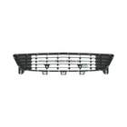 Grille Bodermann 6466360