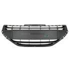 Grille Bodermann 6809385