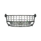 Grille Bodermann 6866350