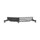 Grille Bodermann 8838360