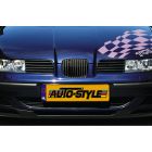 Grille styling Mijnautoonderdelen DX SG313