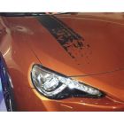 Foliatec Stickers FT 33911