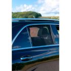 Car Shades Privacy Shades pasklaar PV MBGLE5B18