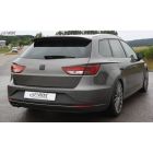 Rdx Racedesign Pasklare achterspoilers TS SE67