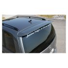 Rdx Racedesign Pasklare achterspoilers TS VW114