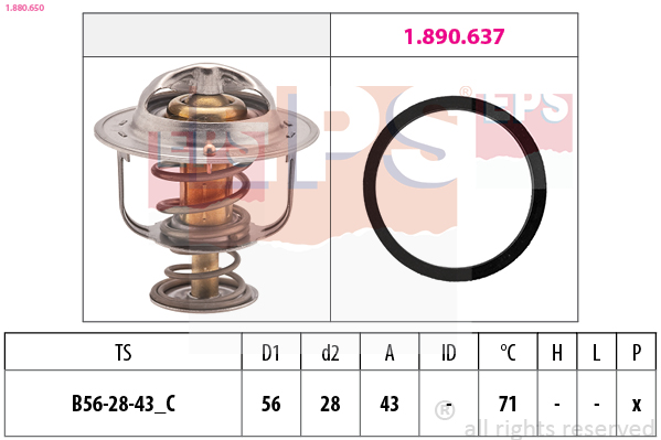 Thermostaat EPS 1.880.650