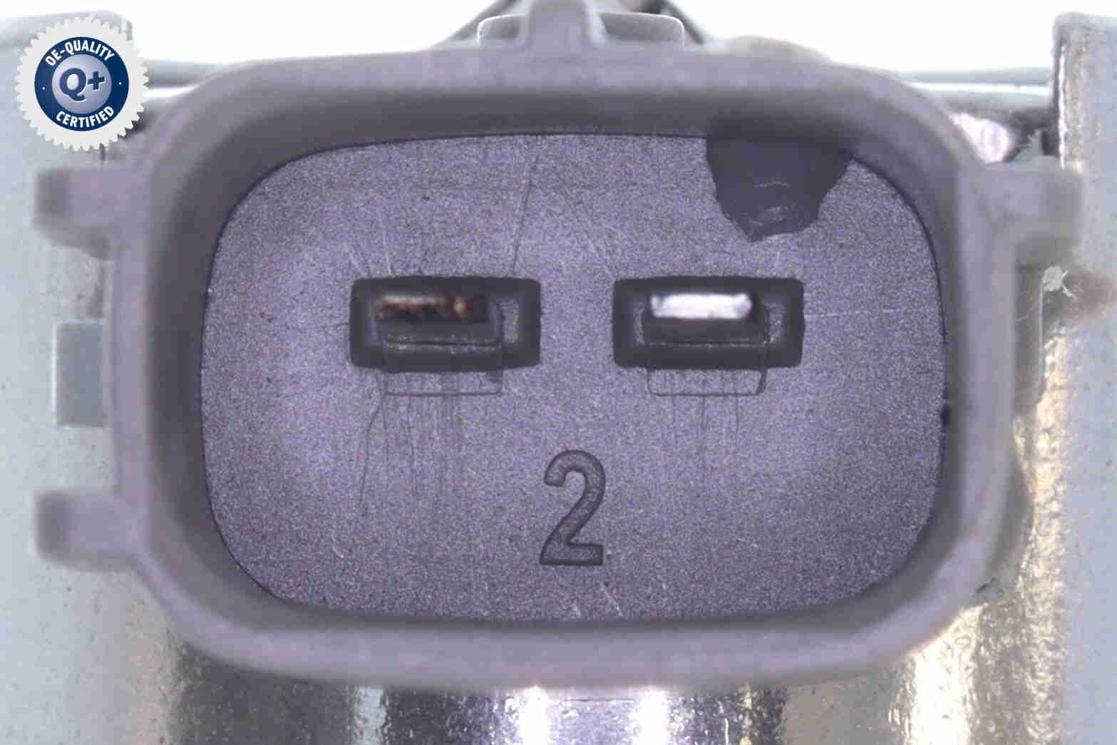 Ackoja Hogedrukinspuitpomp A32-25-0001