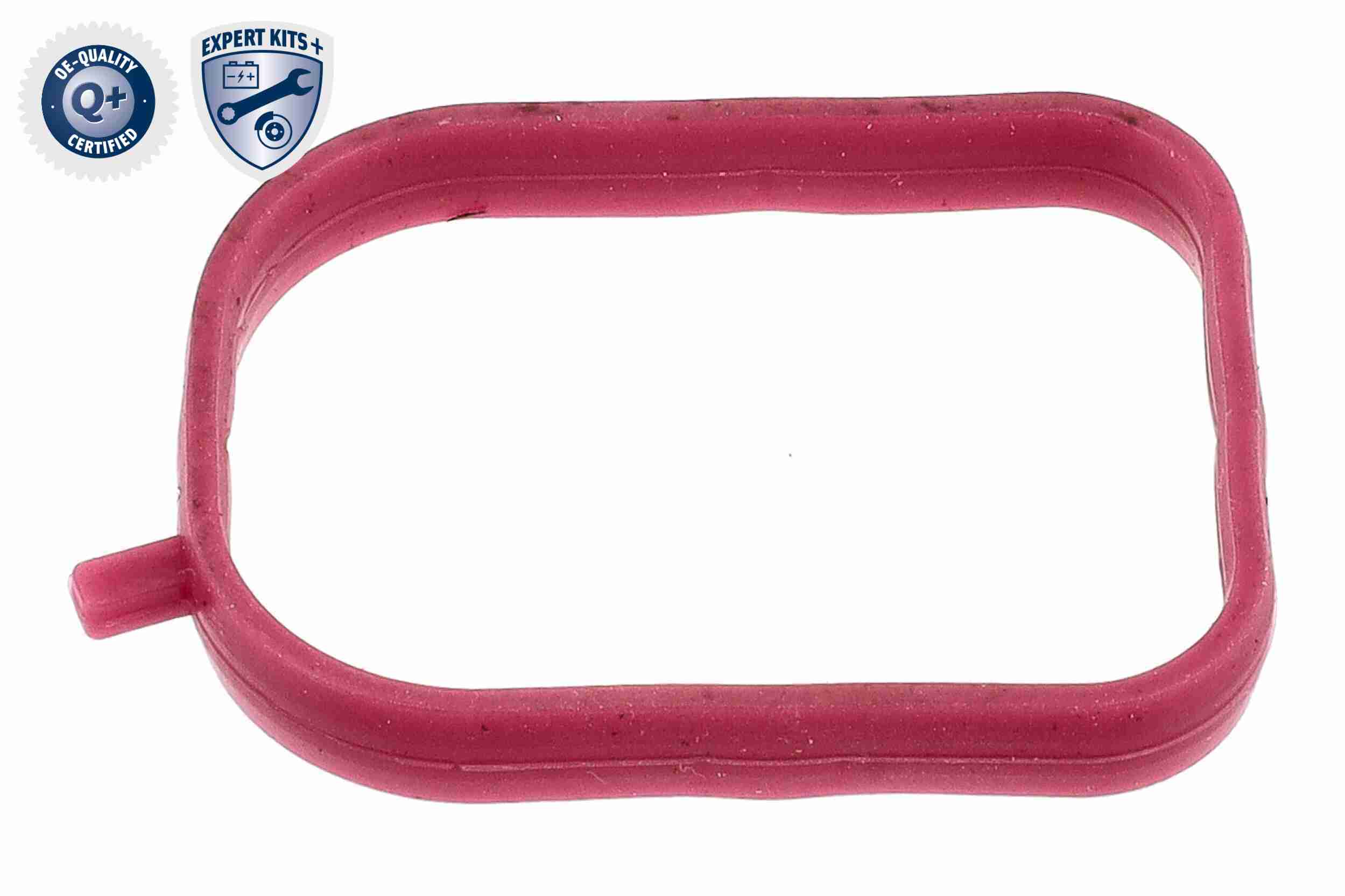 Ackoja Thermostaat A32-99-1706