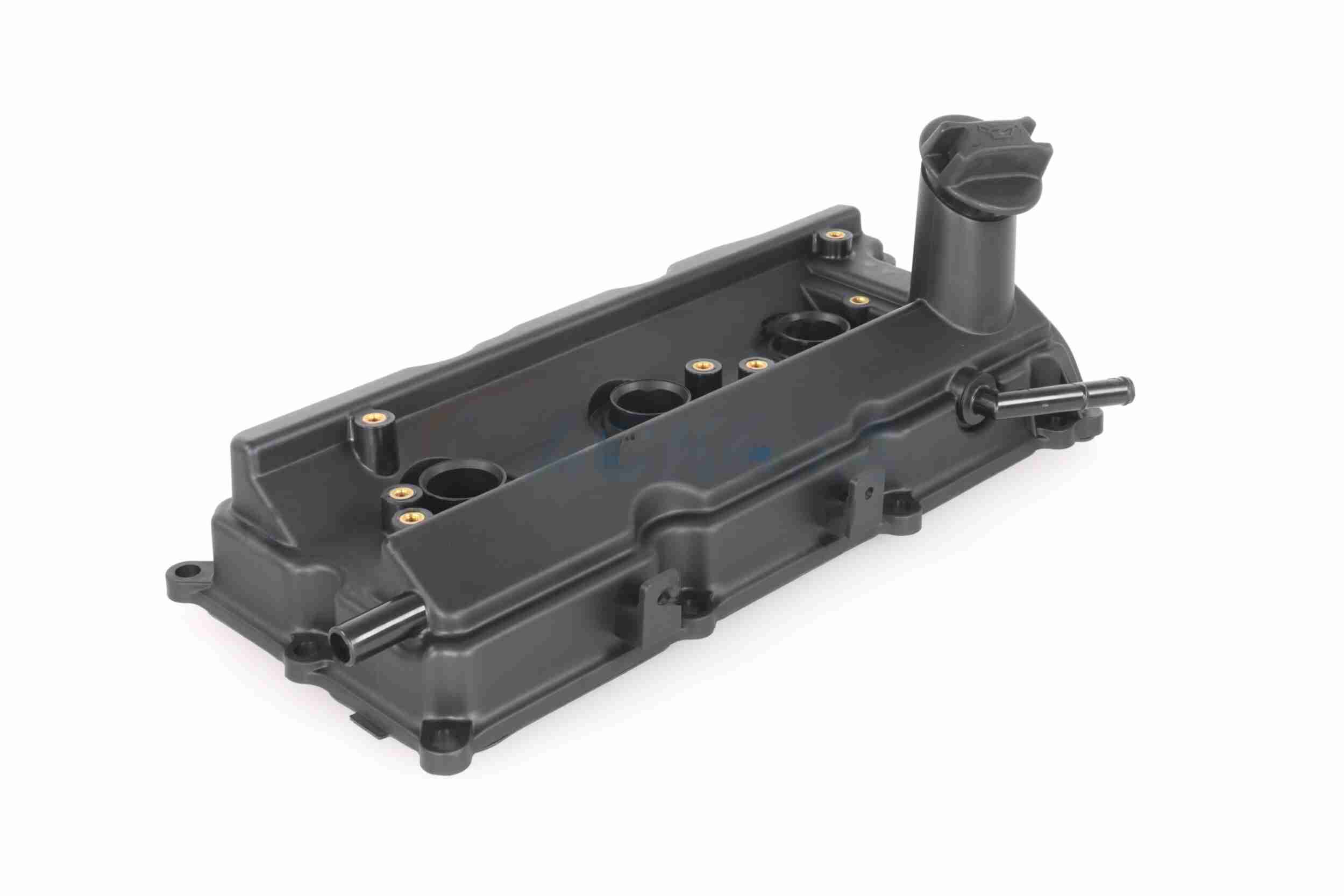 Ackoja Cilinderkopkap A38-0021