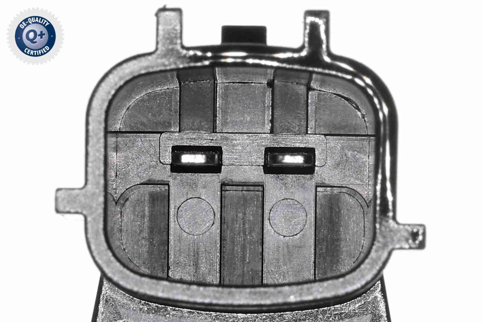 Ackoja Nokkenasregelklep A38-0280