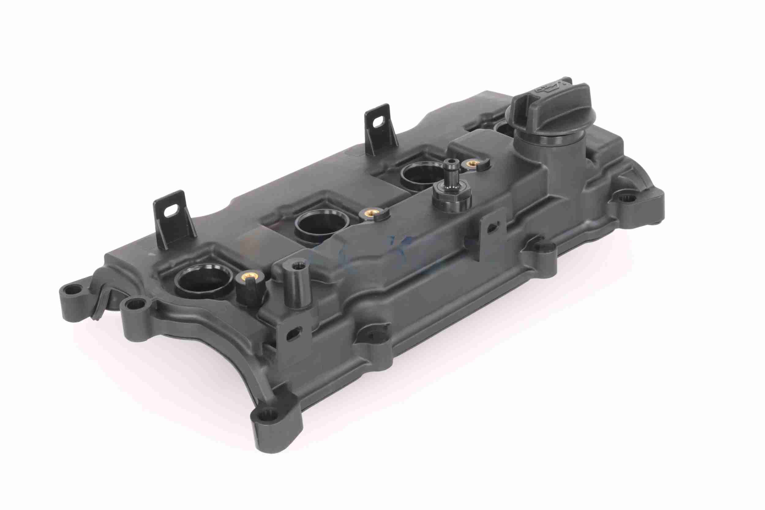 Ackoja Cilinderkopkap A38-0323