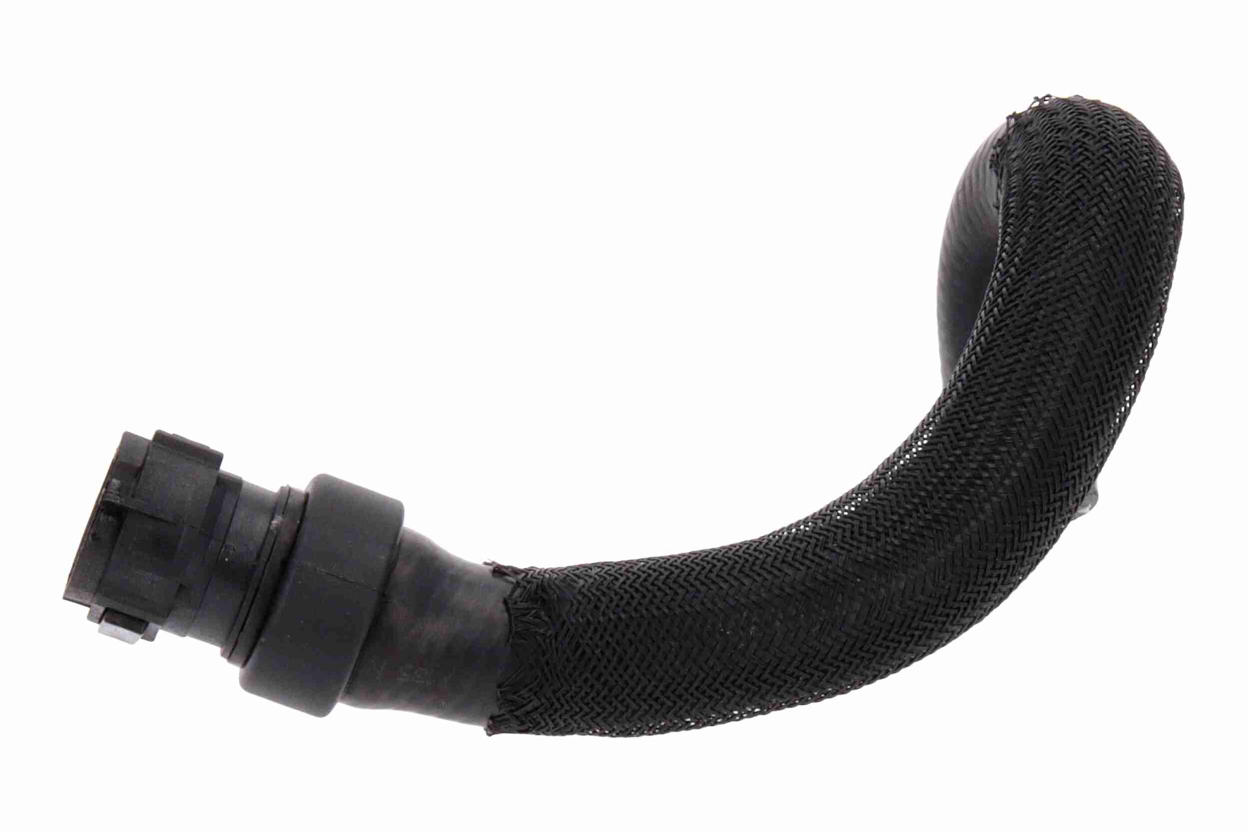 Ackoja Slangen A38-0648