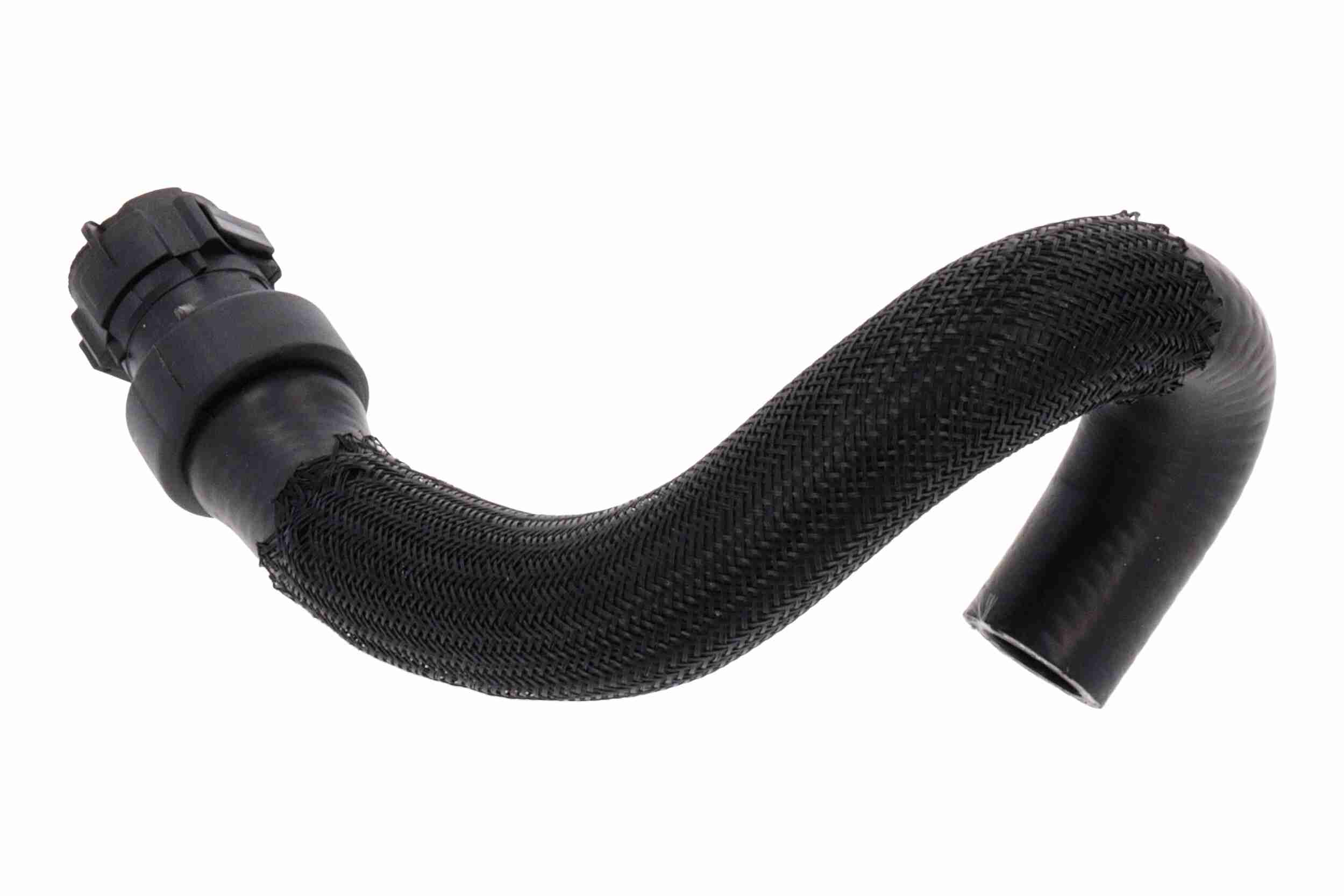 Ackoja Slangen A38-0648