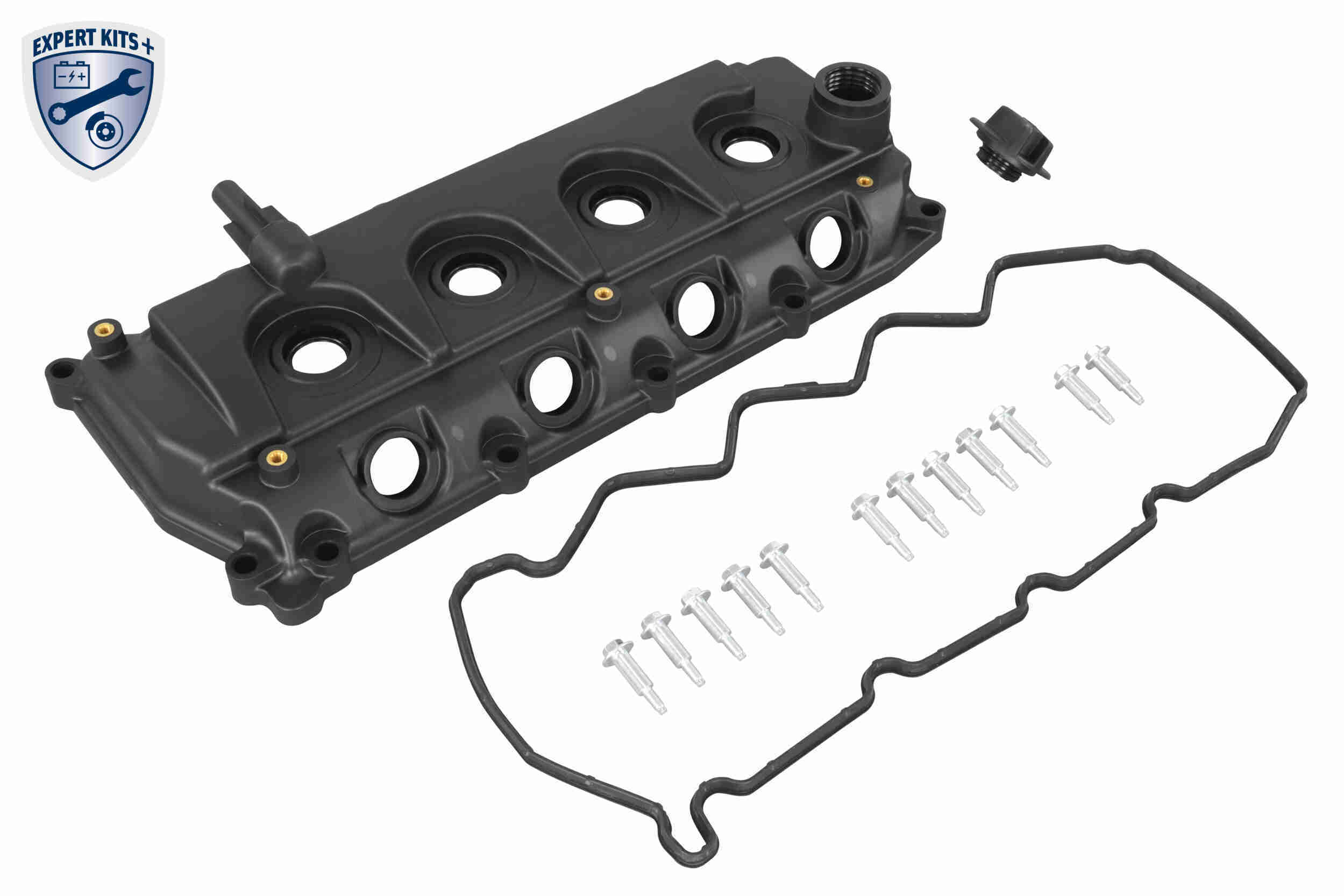 Ackoja Cilinderkopkap A38-0649