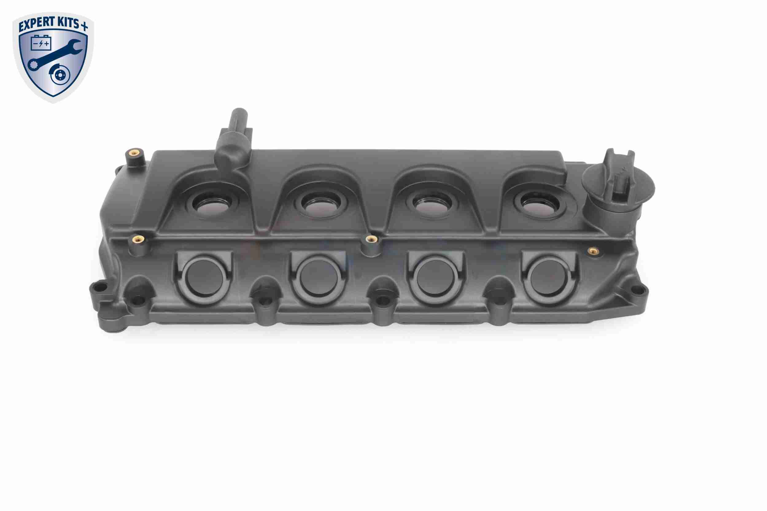 Ackoja Cilinderkopkap A38-0649