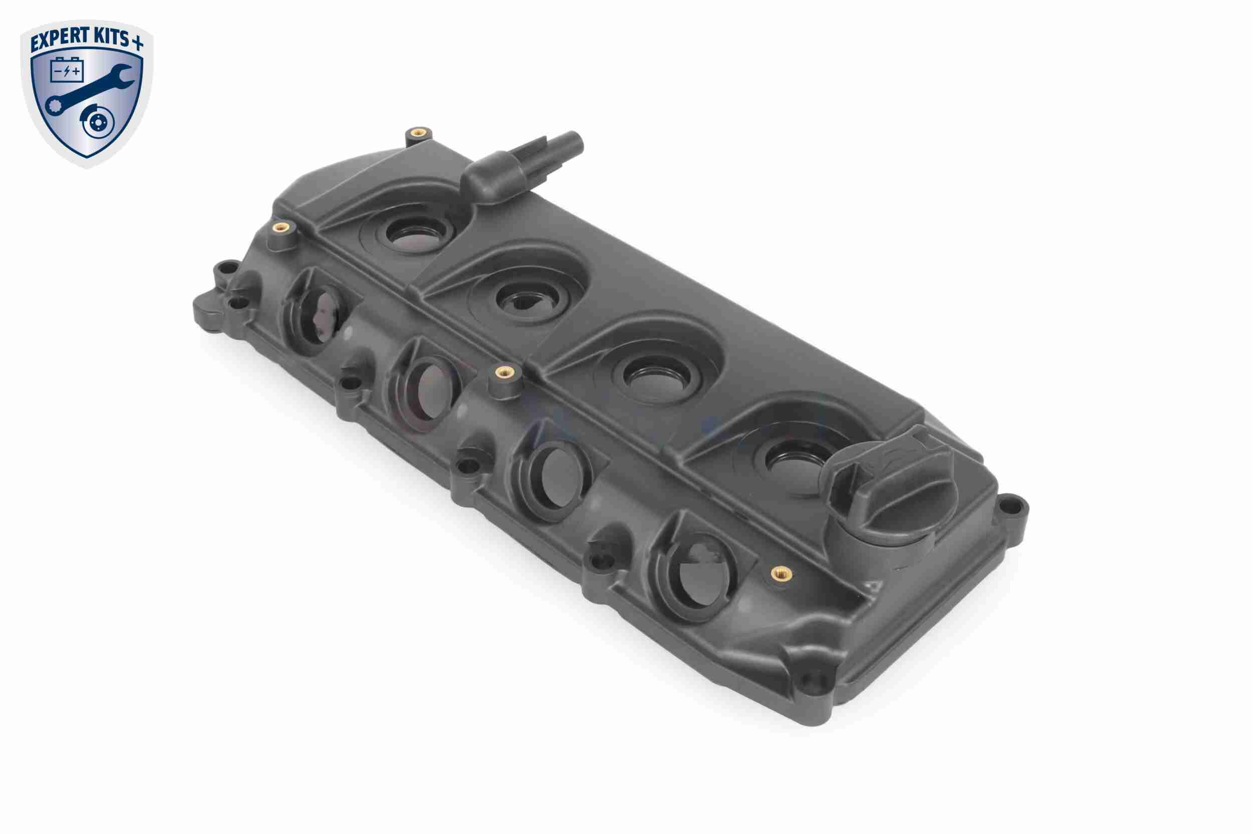 Ackoja Cilinderkopkap A38-0649