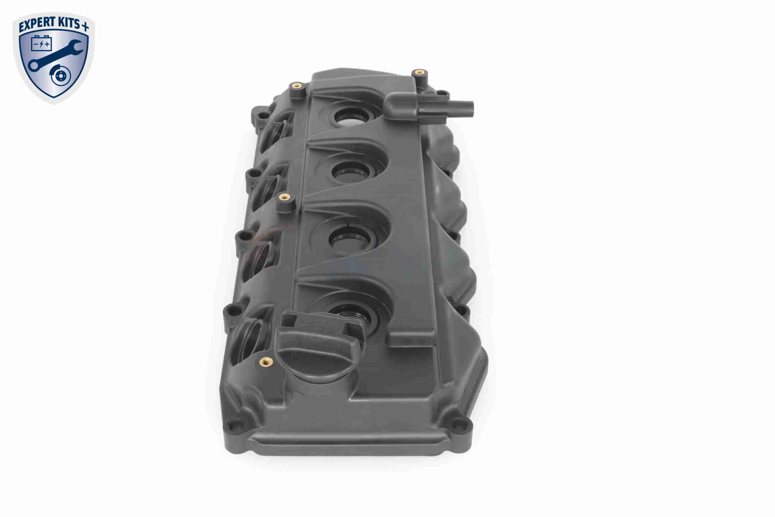 Ackoja Cilinderkopkap A38-0649