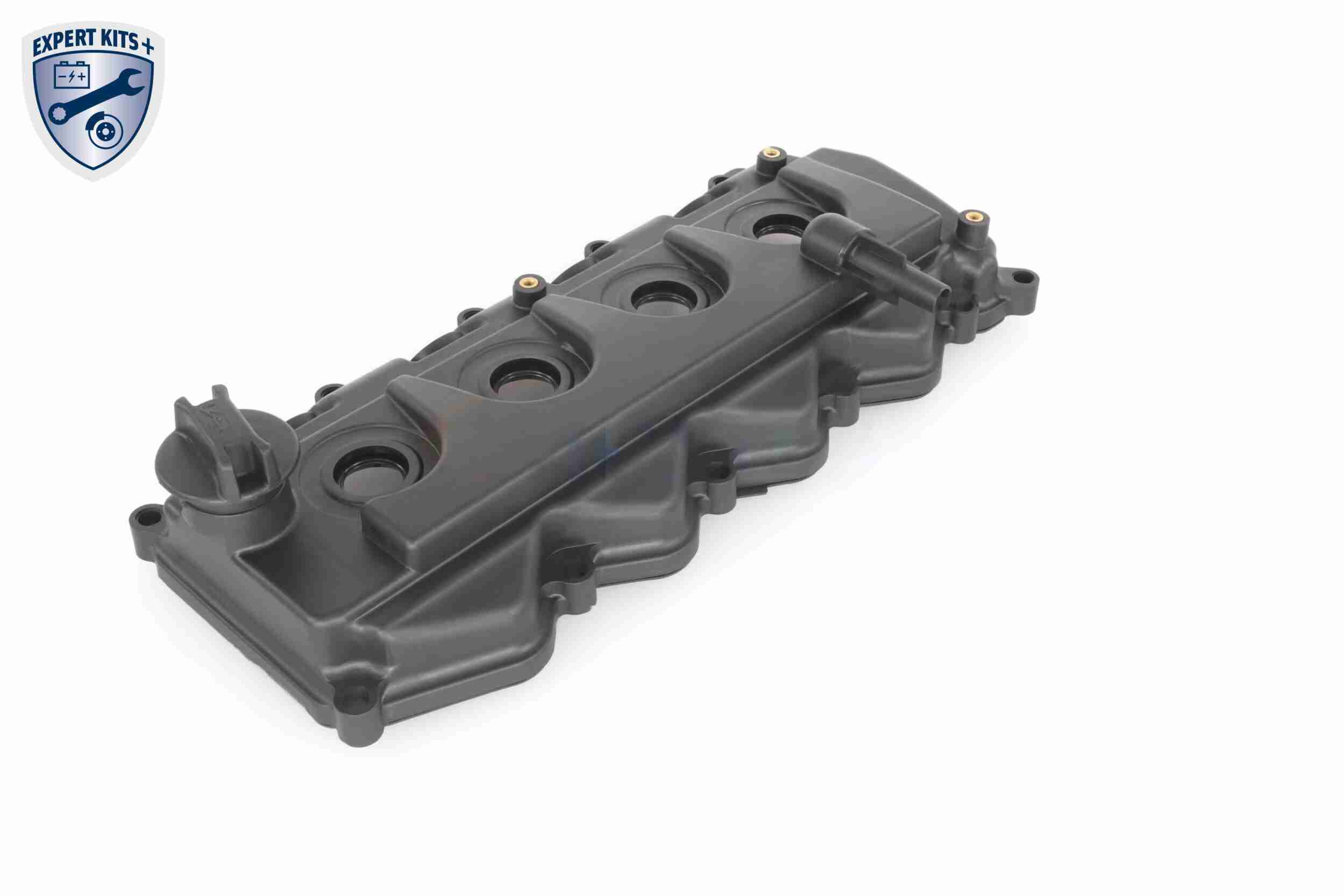 Ackoja Cilinderkopkap A38-0649