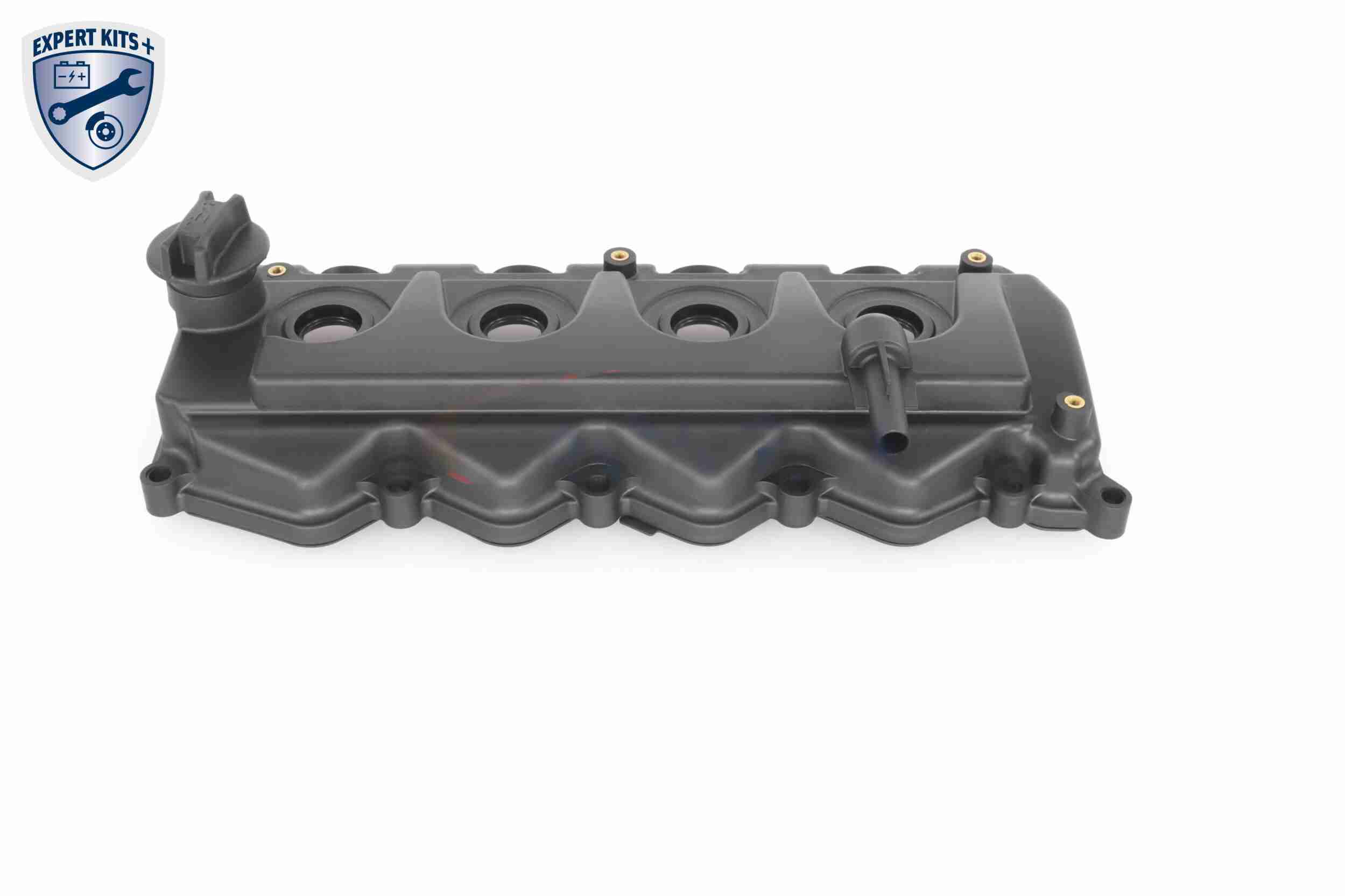 Ackoja Cilinderkopkap A38-0649