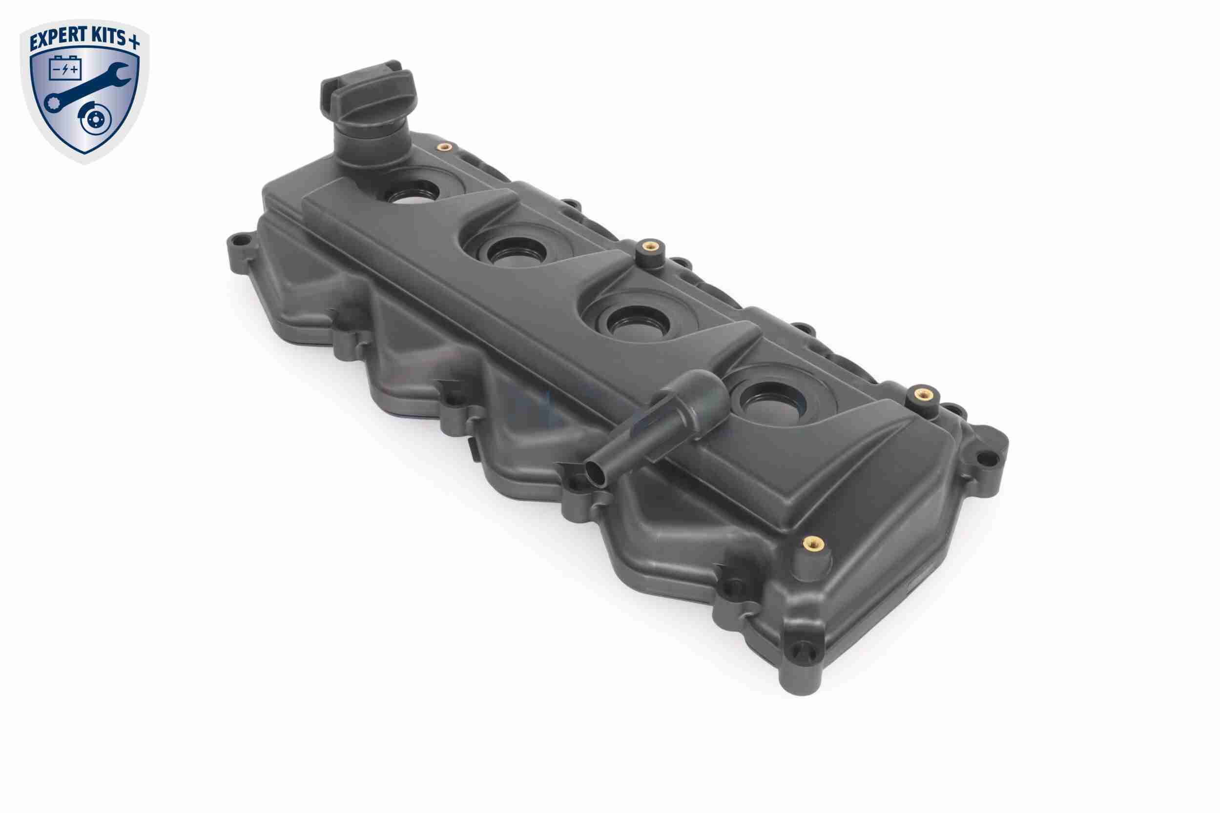 Ackoja Cilinderkopkap A38-0649