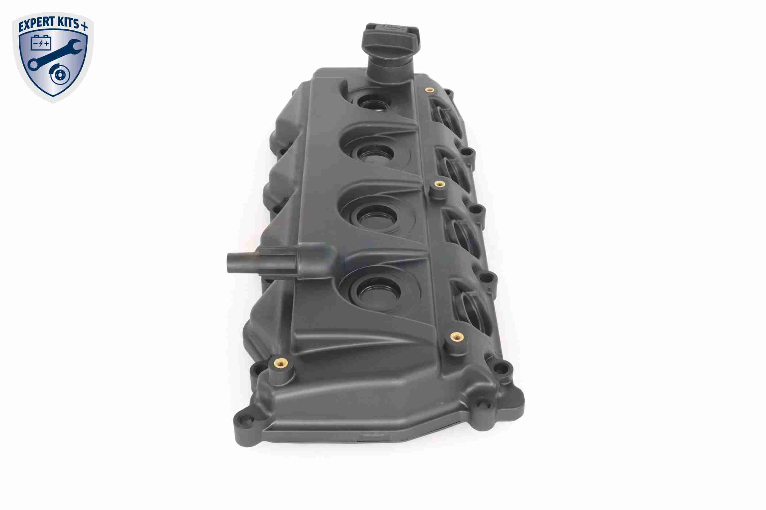 Ackoja Cilinderkopkap A38-0649