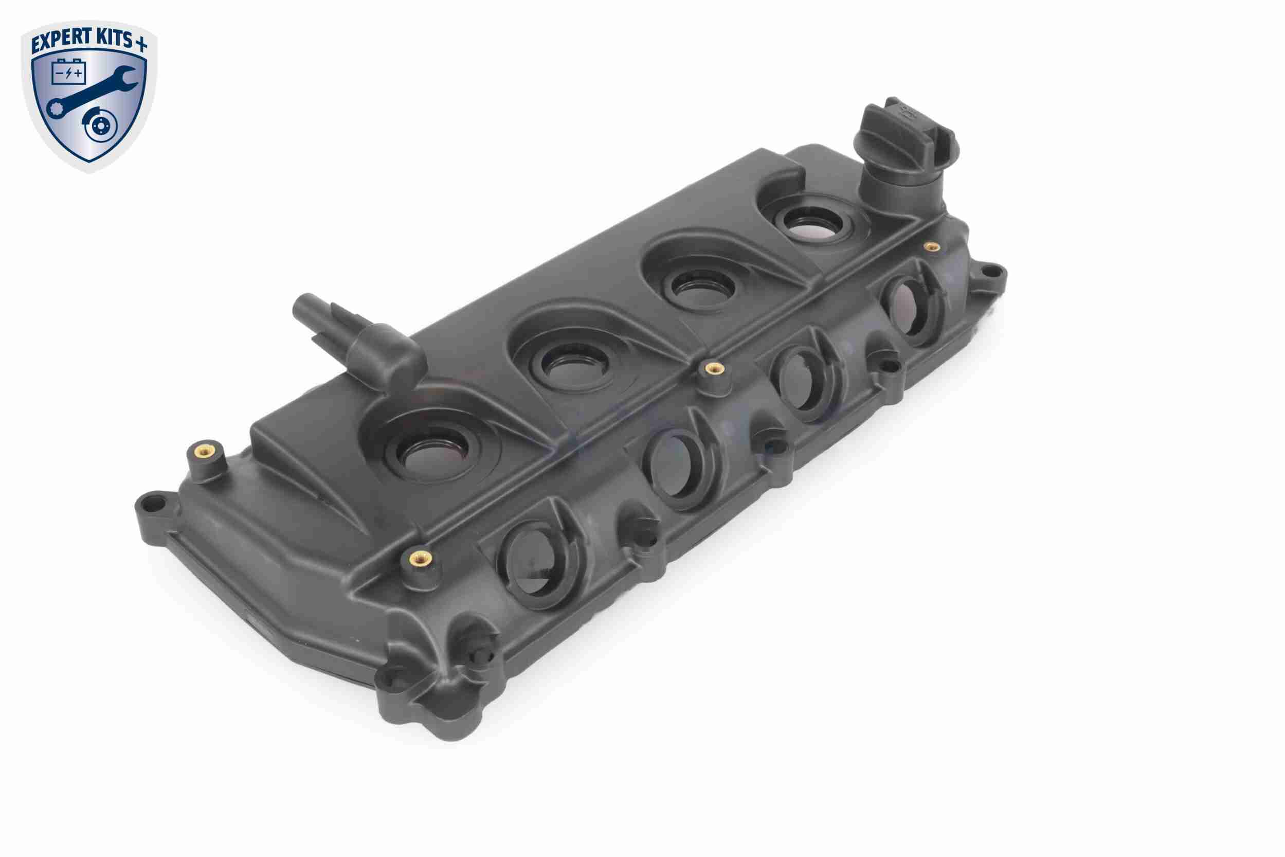 Ackoja Cilinderkopkap A38-0649