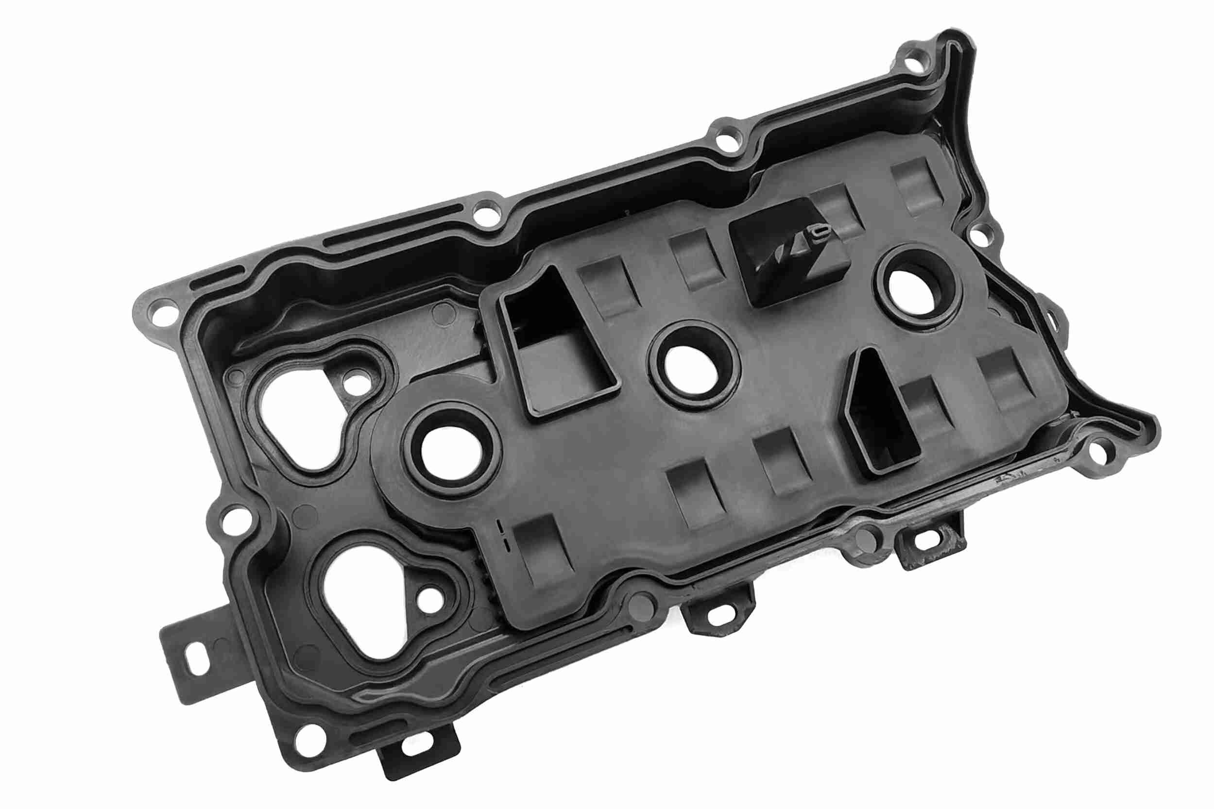 Ackoja Cilinderkopkap A38-0698