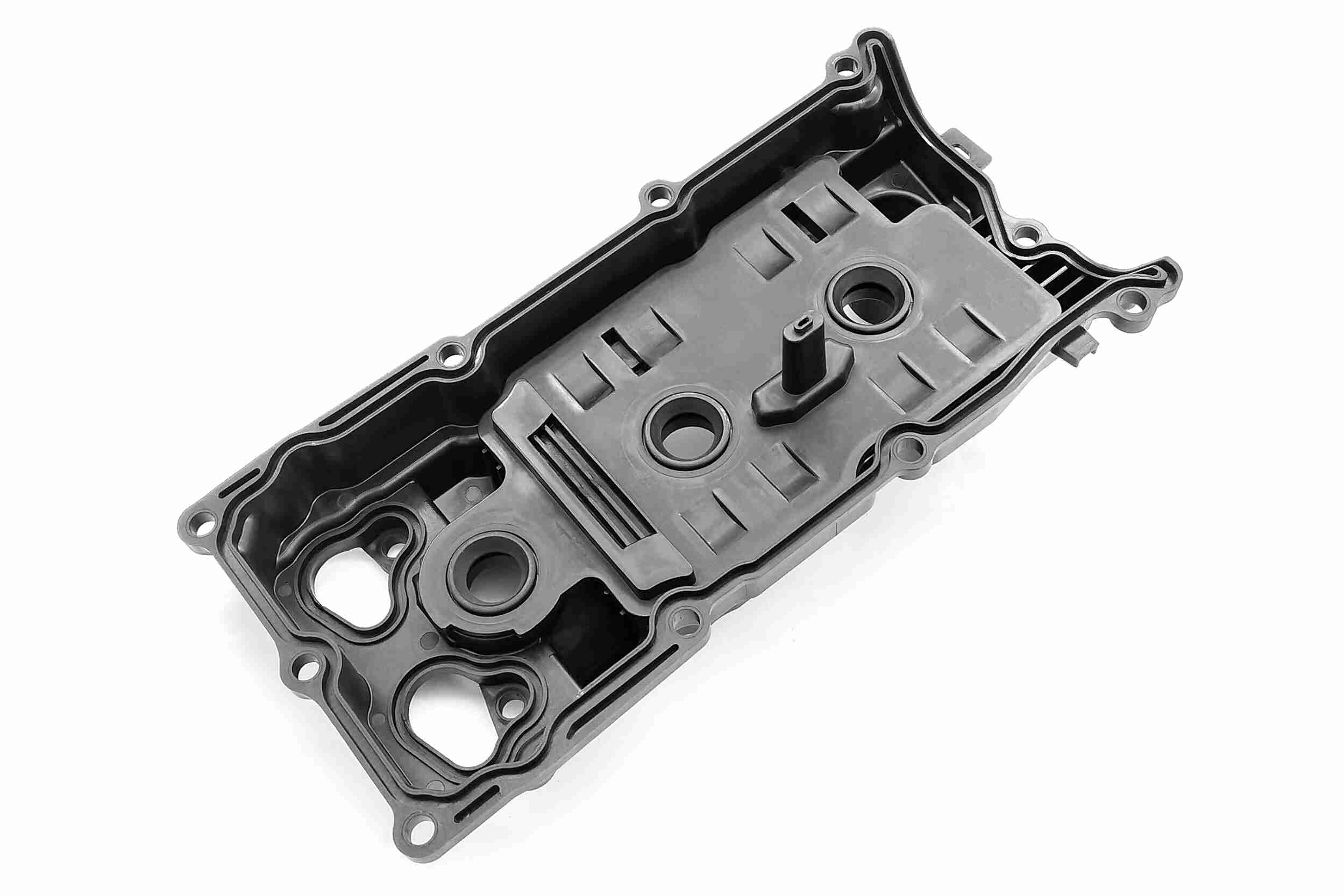 Ackoja Cilinderkopkap A38-0699