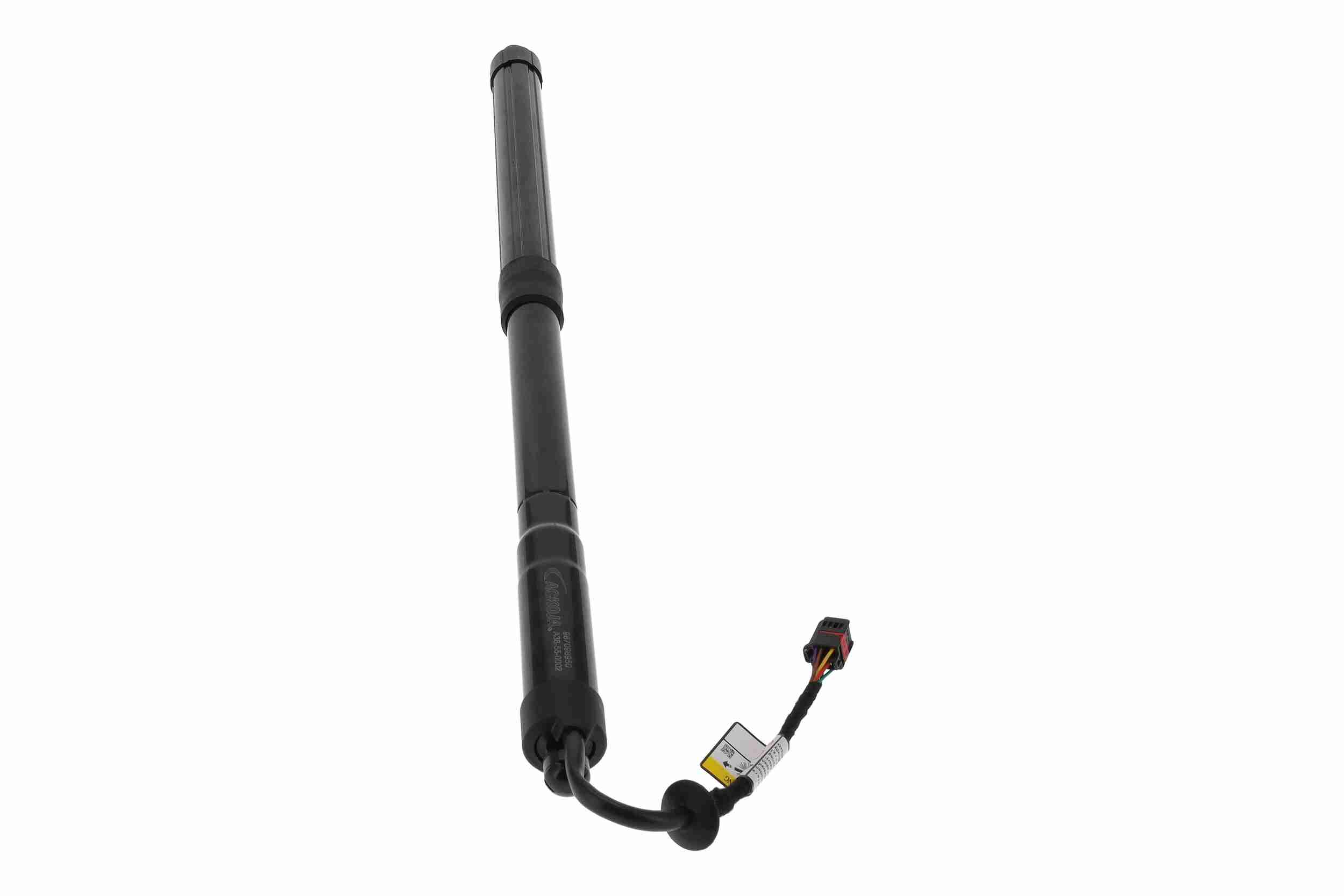 Ackoja Elektromotor, achterklep A38-55-0002