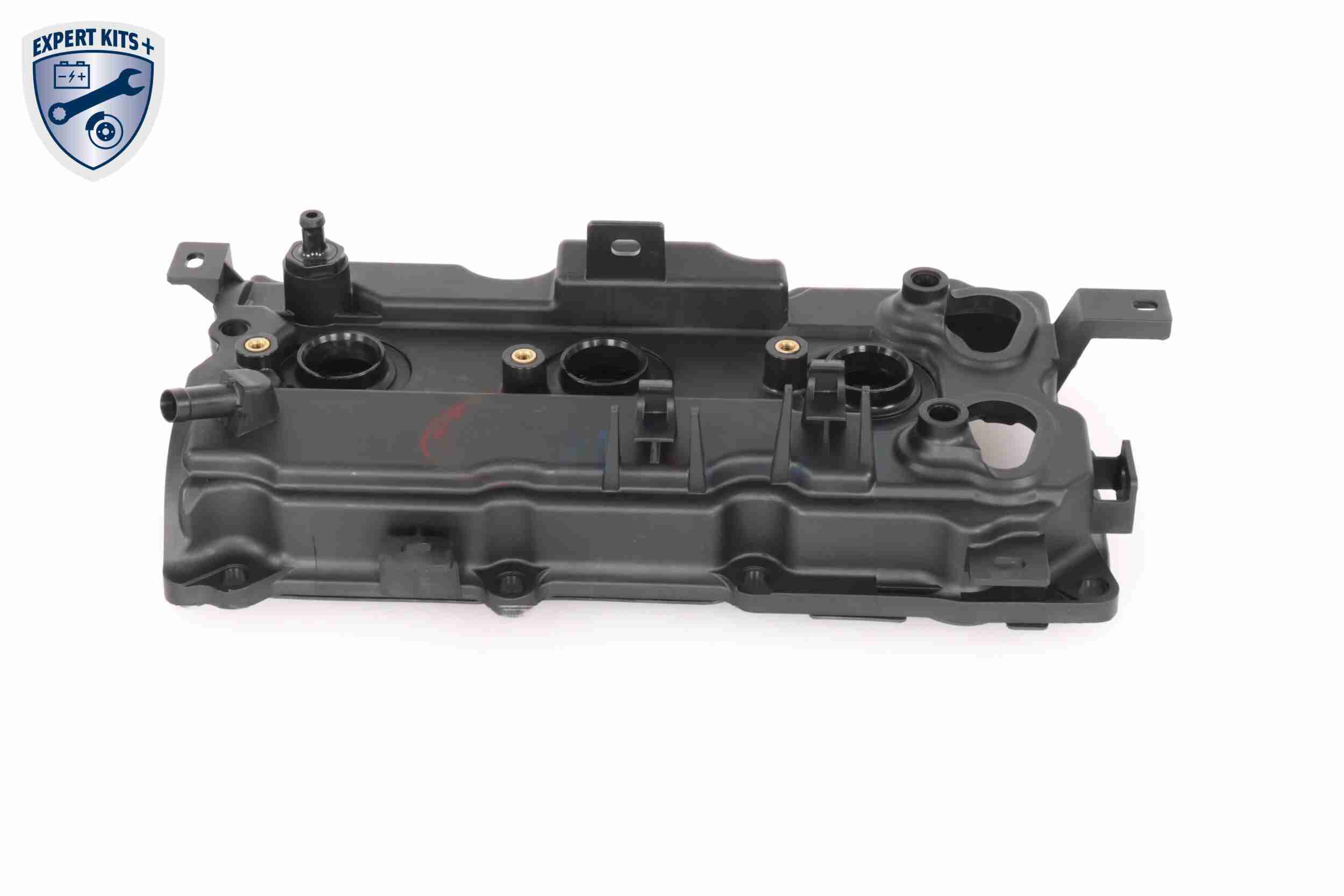 Ackoja Cilinderkopkap A38-9708